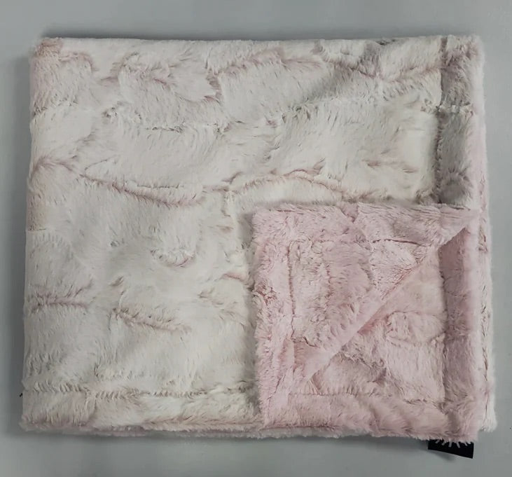 Baby Girl Blanket | Minky Plush | Frost Rosewater | Winx + Blinx