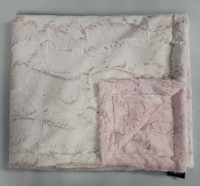 Baby Girl Blanket | Minky Plush | Frost Rosewater | Winx + Blinx