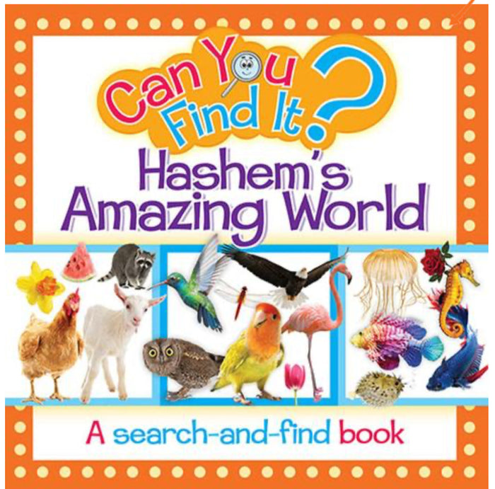 Board Book | Can you find it? Hashem's Amazing World